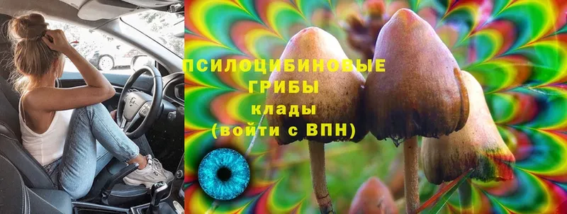 mega как зайти  Карталы  Галлюциногенные грибы MAGIC MUSHROOMS 